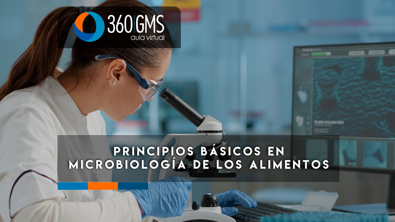 Principios Básicos en Microbiología de los Alimentos