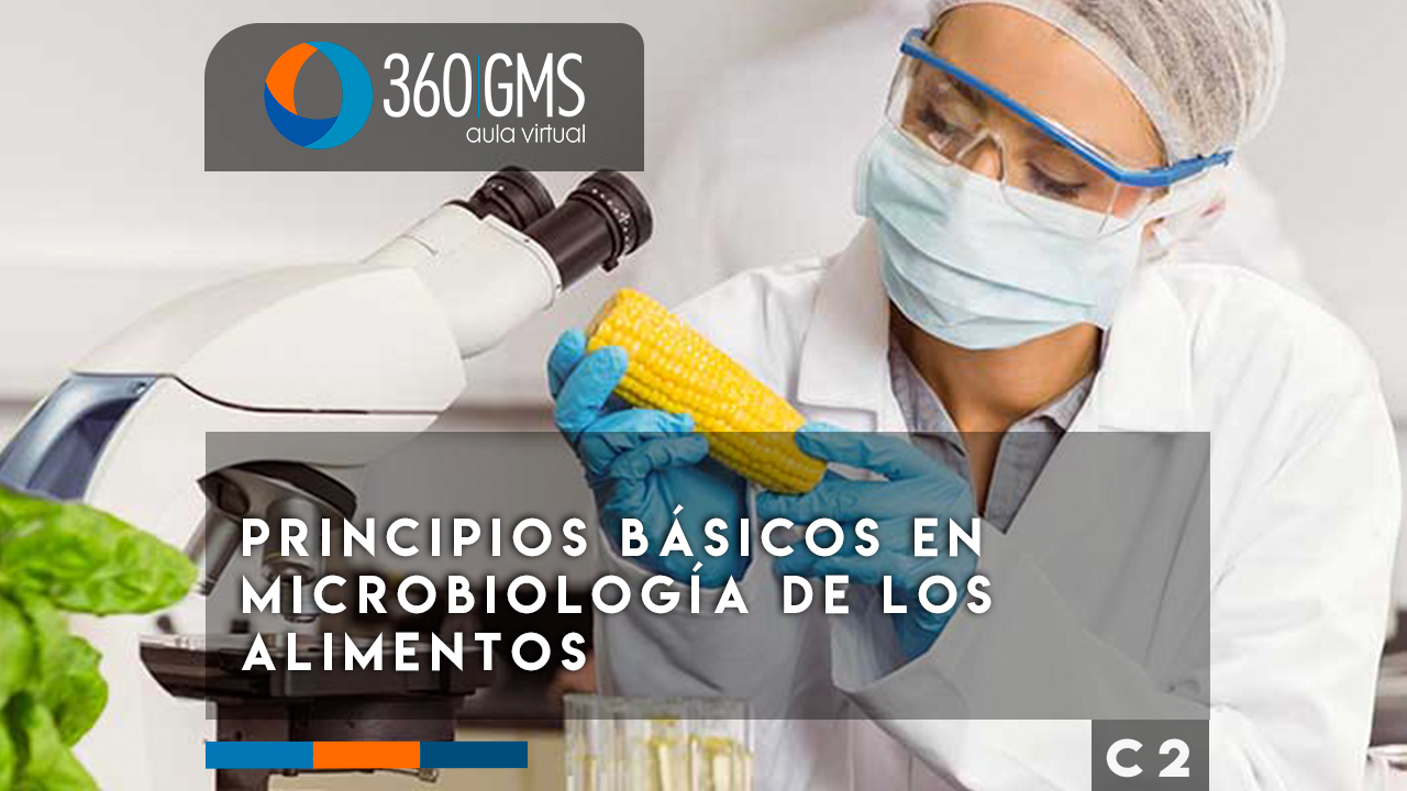 3705_C2 - Principios Básicos en Microbiología de los Alimentos