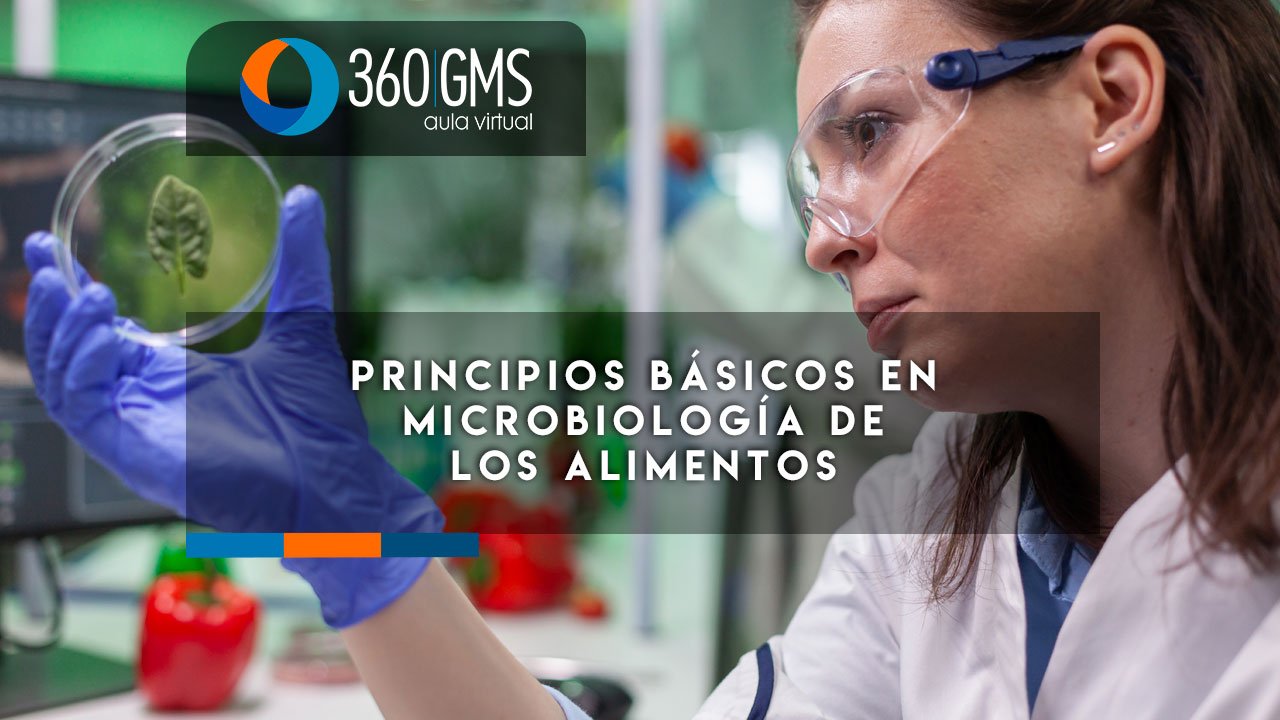 3956_C1 - Principios Básicos en Microbiología de los Alimentos
