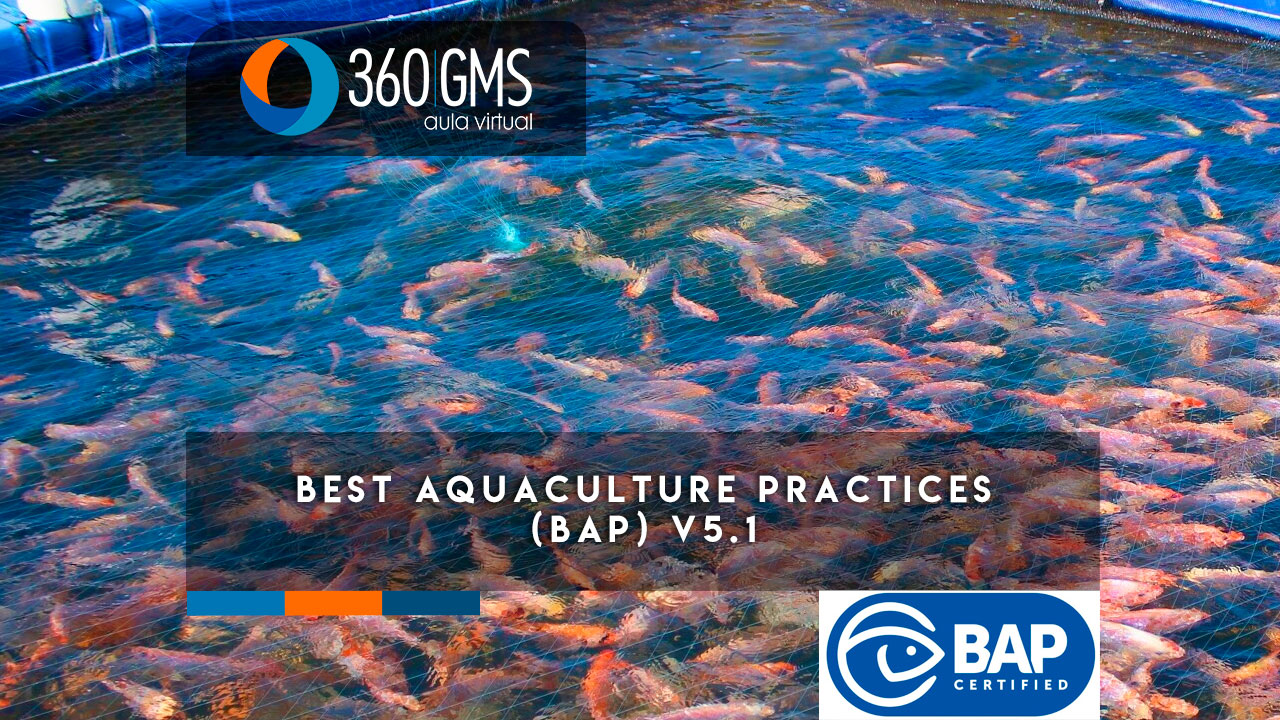 3919_C1 - Best Aquaculture Practices (BAP) v5.1